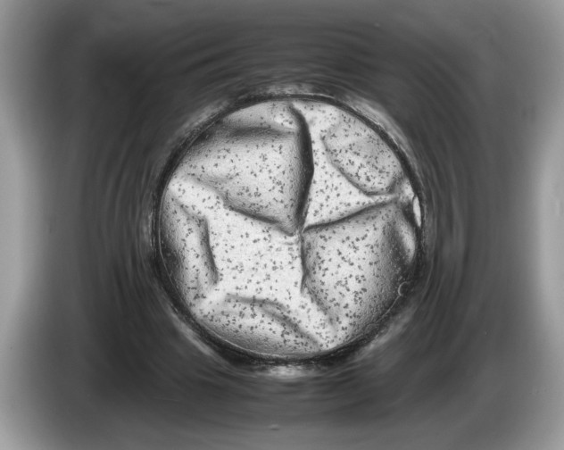 X0000086280441200704262039