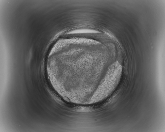 X0000086280442200704262039