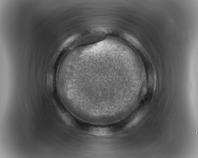 X0000086280444200704262039