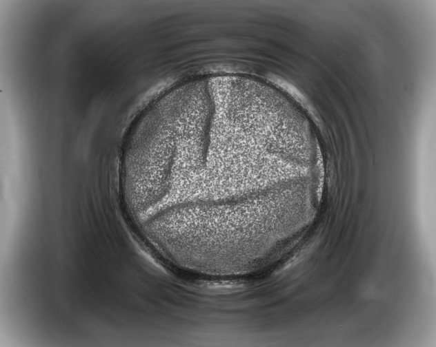 X0000086280445200704262039