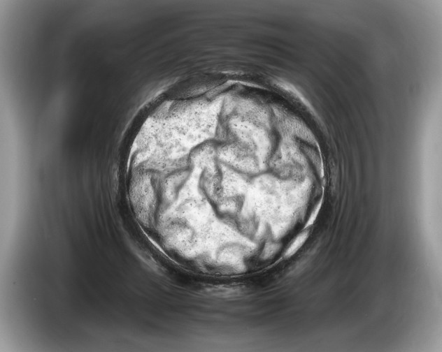 X0000086280447200704262039