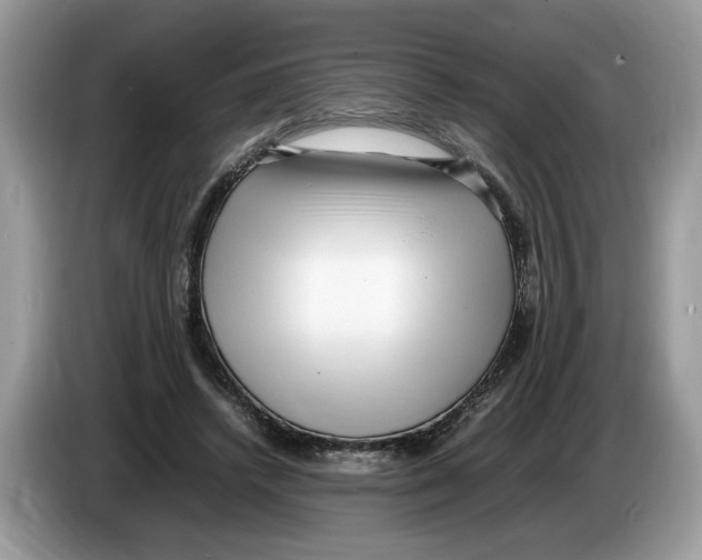 X0000086280448200704262039