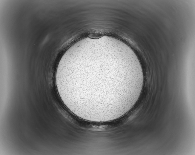 X0000086280450200704262039