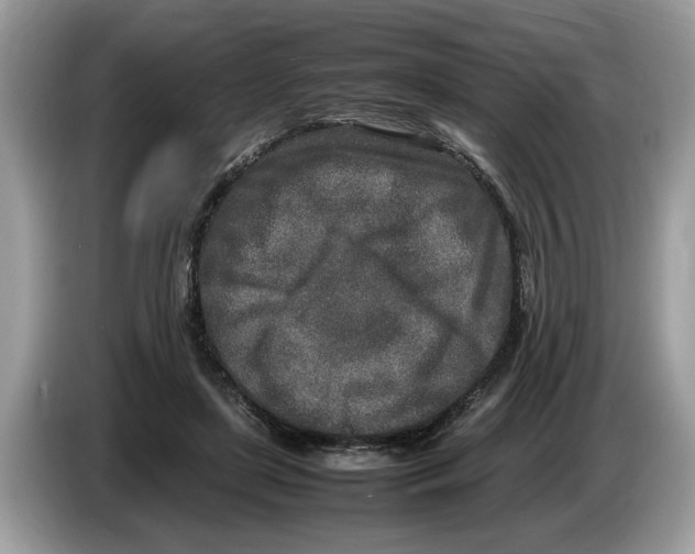 X0000086280451200704262039