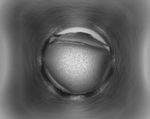 X0000086280452200704262039