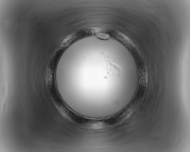 X0000086280456200704262039
