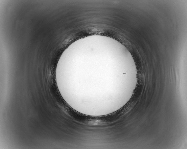 X0000086280460200704262039
