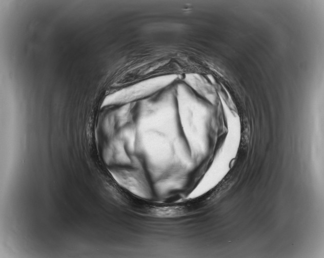 X0000086280461200704262039