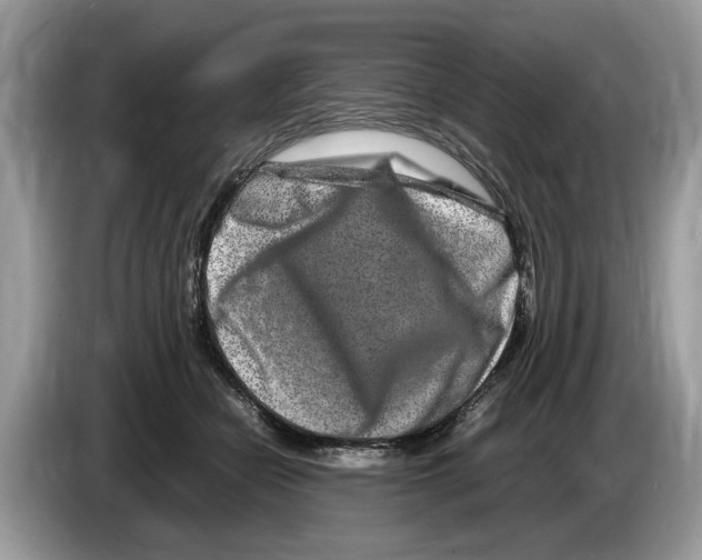 X0000086280462200704262040