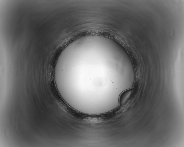 X0000086280464200704262040