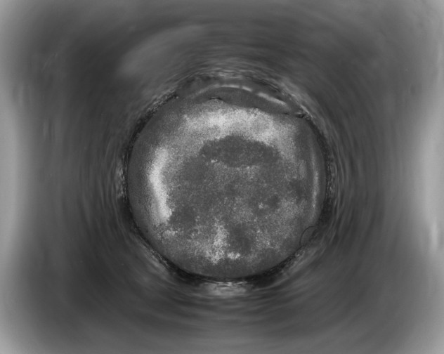 X0000086280465200704262040
