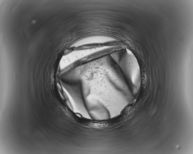 X0000086280466200704262040