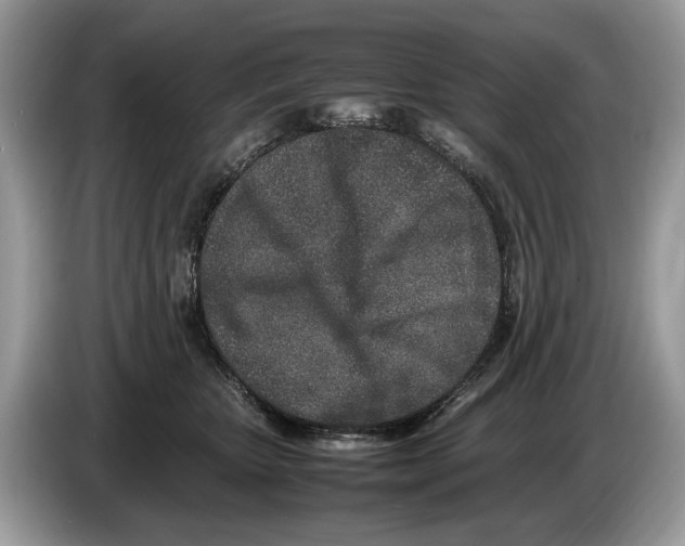 X0000086280467200704262040