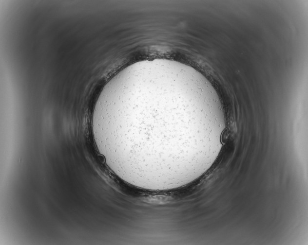 X0000086280468200704262040