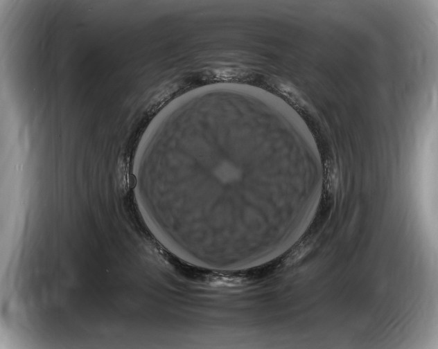 X0000086280471200704262040