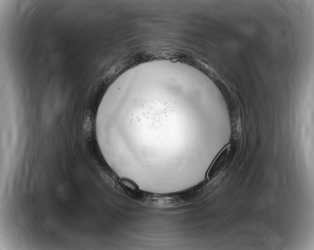 X0000086280472200704262040