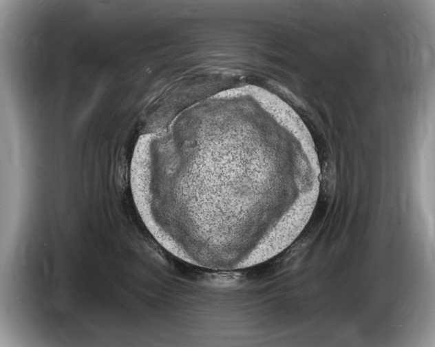X0000086280474200704262040