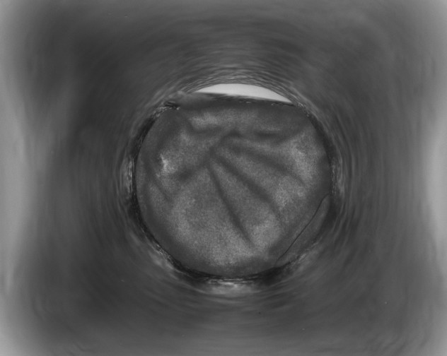 X0000086280475200704262040