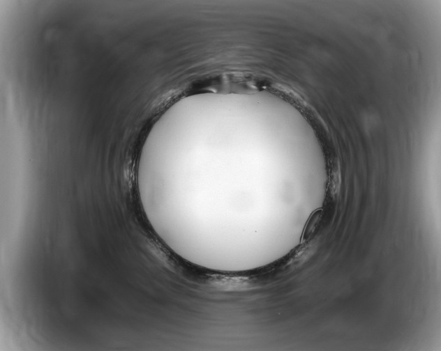 X0000086280476200704262040