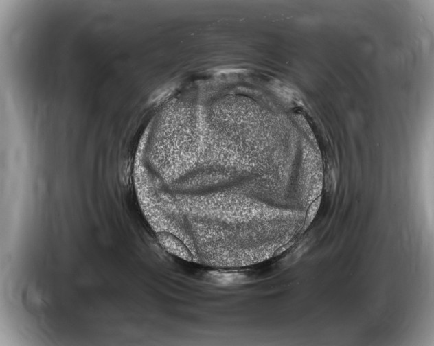 X0000086280477200704262040