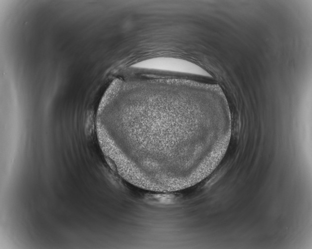 X0000086280478200704262040