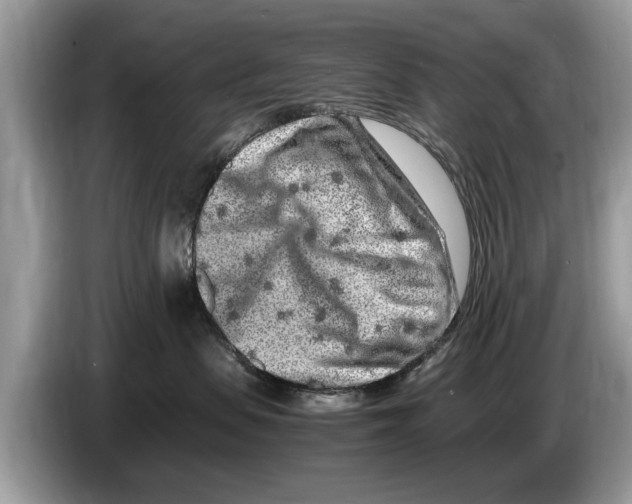 X0000086280479200704262040