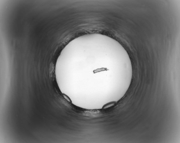 X0000086280480200704262040