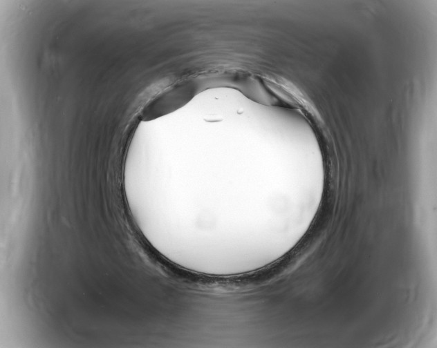 X0000086280481200704262039