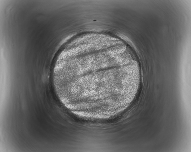 X0000086280483200704262039