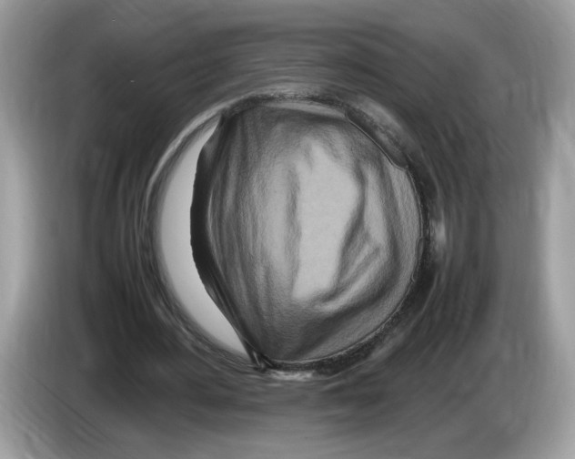 X0000086280484200704262039