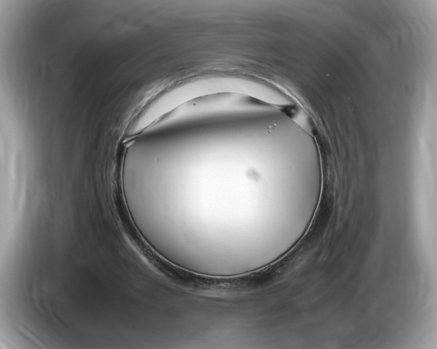 X0000086280485200704262039