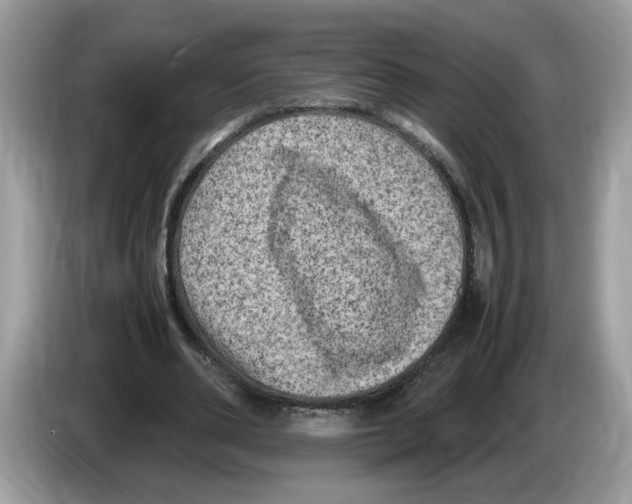 X0000086280486200704262039