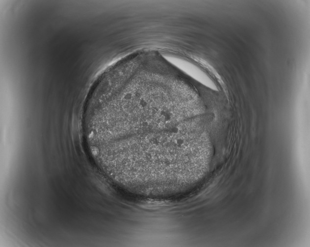 X0000086280487200704262039