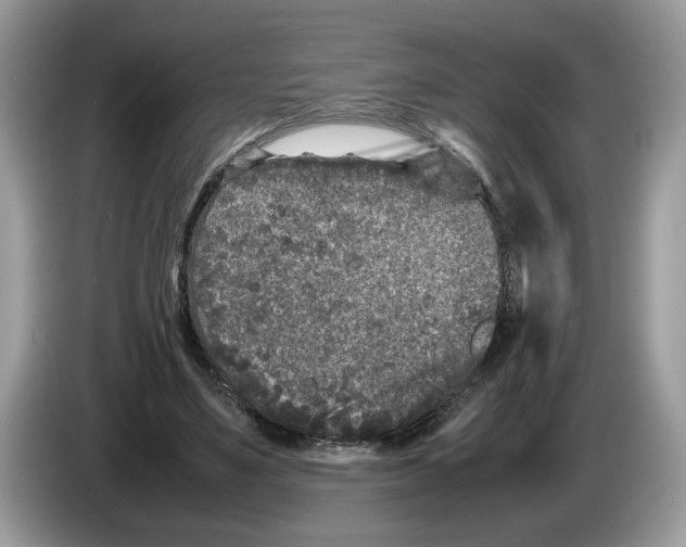 X0000086280491200704262039