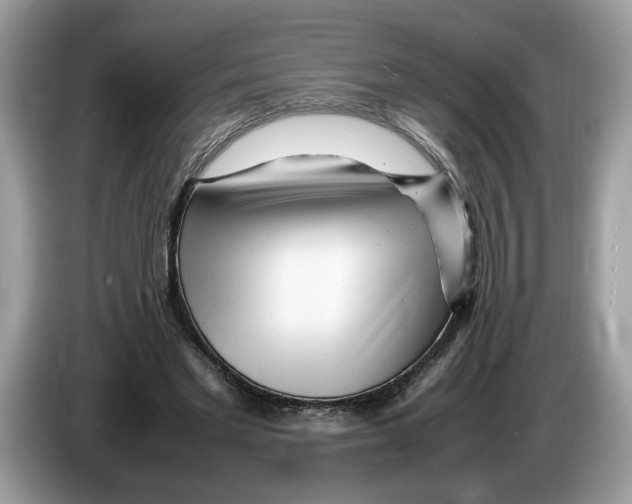 X0000086280493200704262039