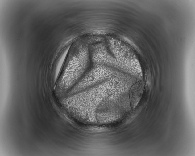 X0000086280494200704262039