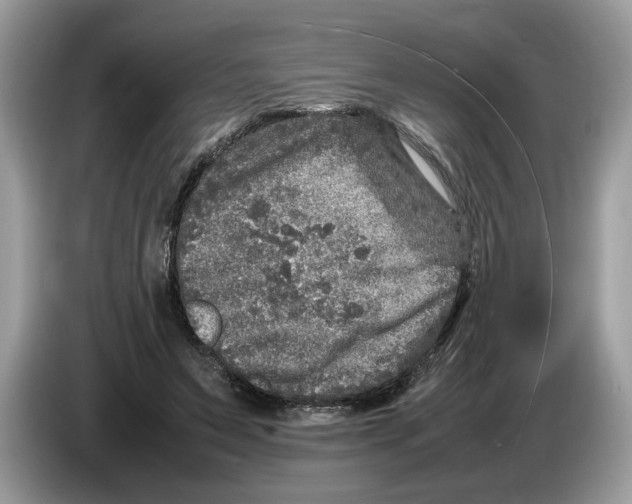 X0000086280495200704262039