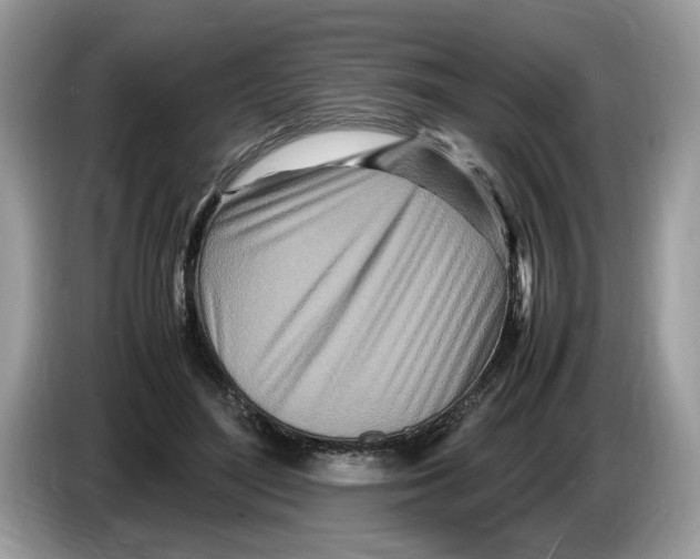 X0000086280500200704262039