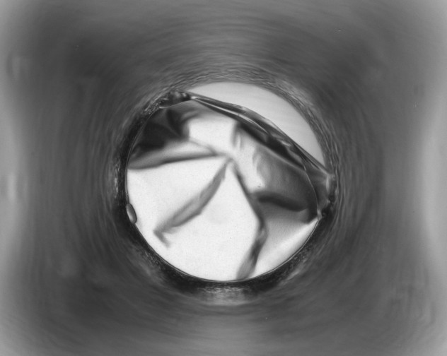 X0000086280501200704262039