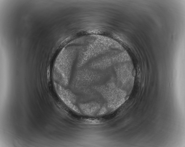 X0000086280502200704262039