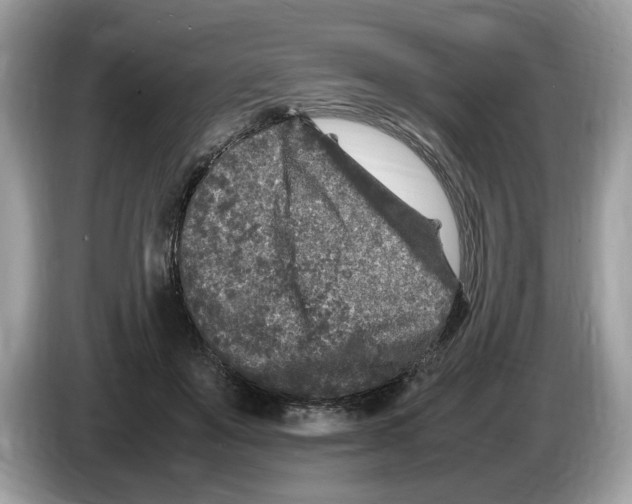 X0000086280503200704262039