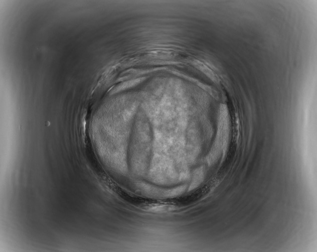 X0000086280504200704262039