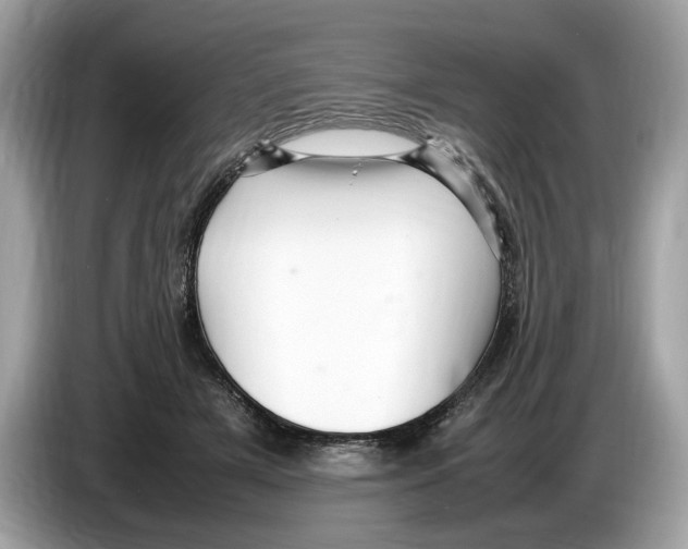 X0000086280505200704262039