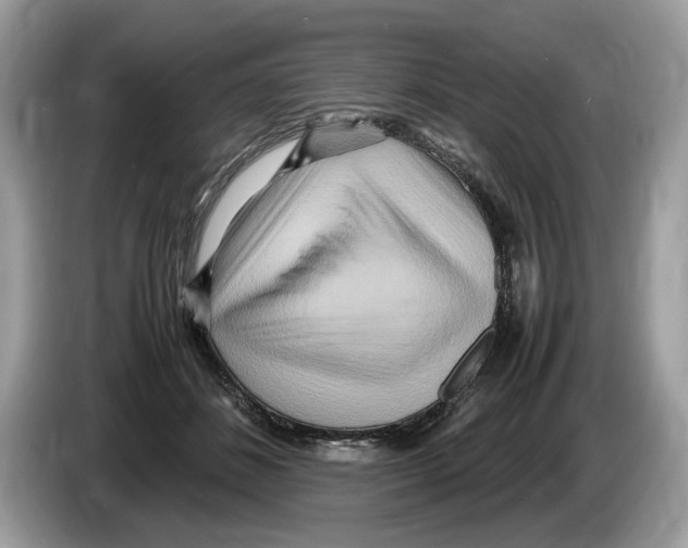 X0000086280508200704262039