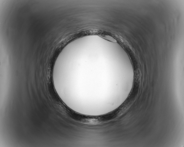 X0000086280509200704262039