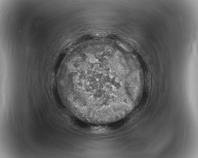 X0000086280511200704262039