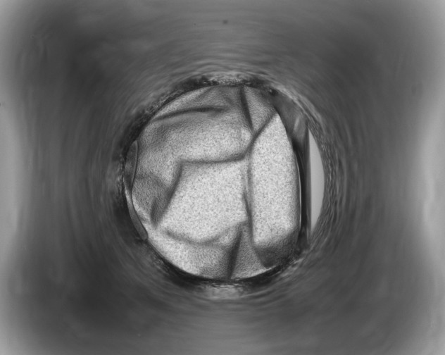 X0000086280513200704262039