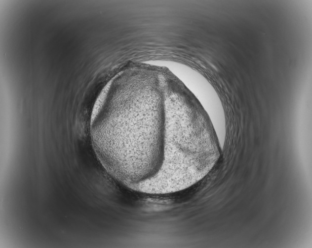 X0000086280515200704262039