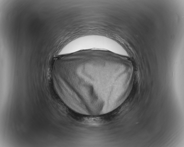 X0000086280517200704262039