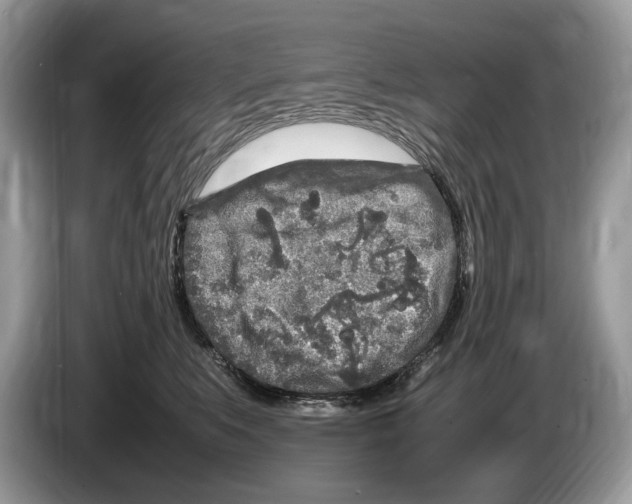 X0000086280519200704262039